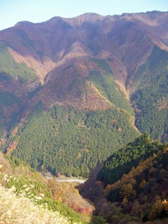 大血川林道