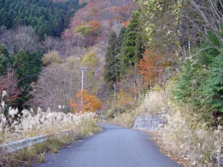 大血川林道　標高1000m超