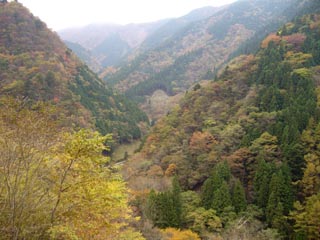 広河原逆川林道下り