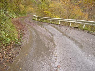 広河原逆川林道下り