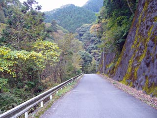 有間川沿いの道