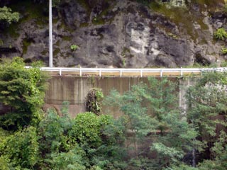 秩父さくら湖東岸　冠水