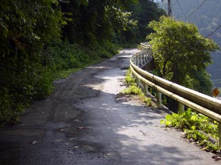 茶平林道