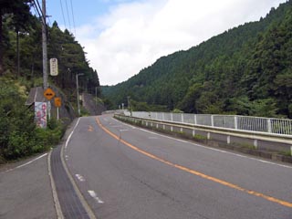 唐沢林道への分岐点