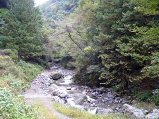 逆川沢