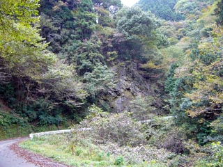 広河原逆川林道