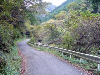 広河原逆川林道