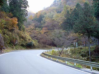 大血川林道