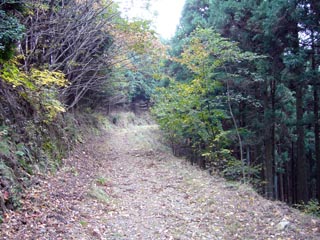 蕨山へ続く山道