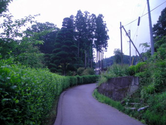 2011062905.jpg