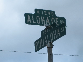 ハーラウ名の意味 Halau Hula Na Lei ʻo Hokuloa Diary 楽天ブログ