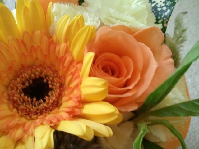 2011-08-05 15.07.02.jpg