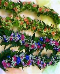 Paraboビアガーデン