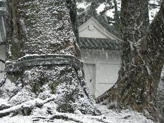 雪