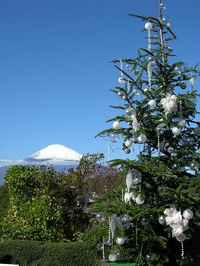 ツリーと富士山