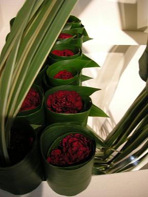 はらんとカーネーション