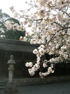 平野神社