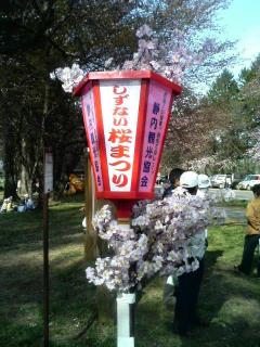 静内桜祭り