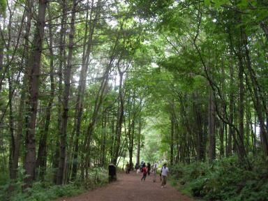 富良野