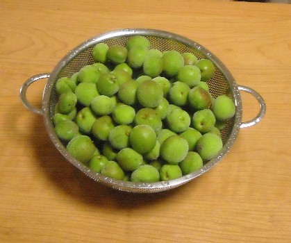 DSCN2341.JPG