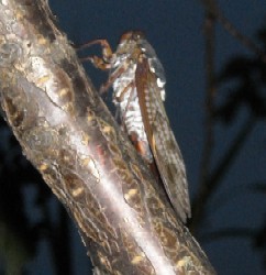 DSCN3077.JPG