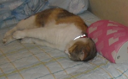 DSCN2078.JPG
