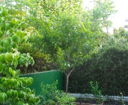 DSCN0251.JPG