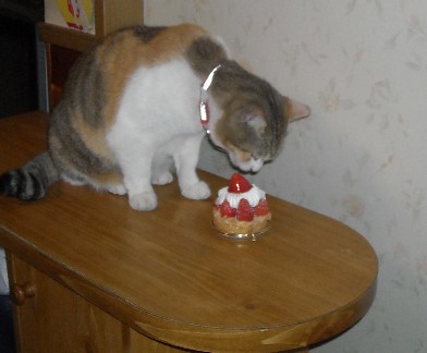 DSCN1839.JPG