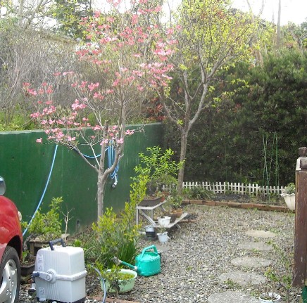DSCN2163.JPG
