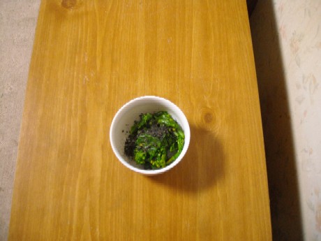 DSCN2029.JPG