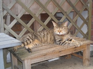 DSCN2539.JPG