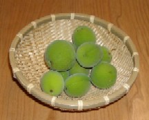 DSCN0249.JPG