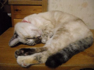 DSCN2508.JPG