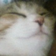 P1000029.JPG