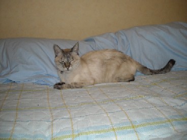 DSCN2207.JPG