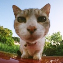 さちこ.jpg