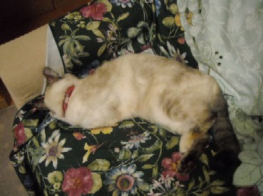 DSCN2609.JPG