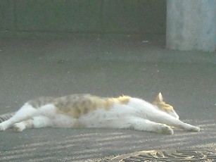 DSCN2564.JPG