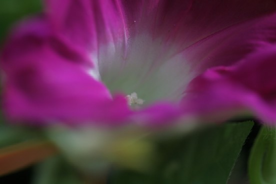 IMG_0760.JPG