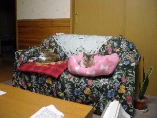 DSCN1001.JPG