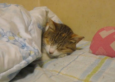 DSCN3972.JPG
