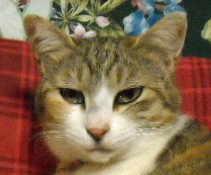 さちこ.JPG