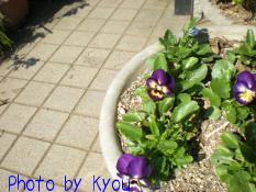 DSCN0663.JPG