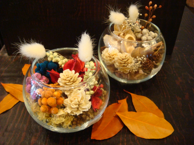 DSC07737.JPG