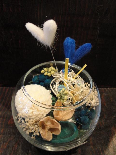 DSC00114.JPG