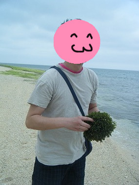 110515_池間_海草Y.jpg