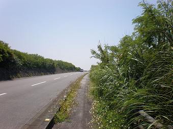 090508_橋のあと_道路.jpg