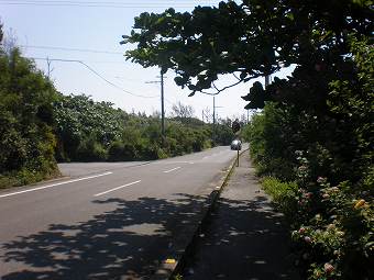 090508_橋へ_道路2.jpg