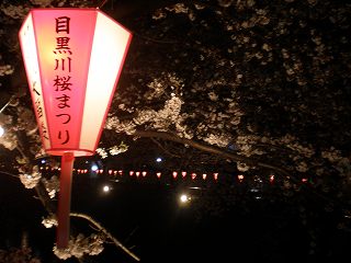 090402_中目_桜提灯2.jpg