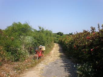 090508_橋へ_小道.jpg